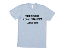 Load image into Gallery viewer, This is What a Cool Grandpa Looks Like T Shirt