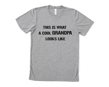 Load image into Gallery viewer, This is What a Cool Grandpa Looks Like T Shirt