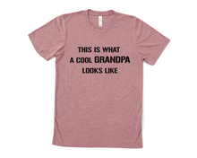 Load image into Gallery viewer, This is What a Cool Grandpa Looks Like T Shirt