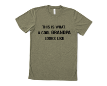 Load image into Gallery viewer, This is What a Cool Grandpa Looks Like T Shirt