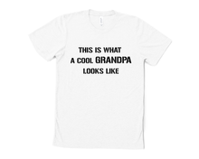 Load image into Gallery viewer, This is What a Cool Grandpa Looks Like T Shirt