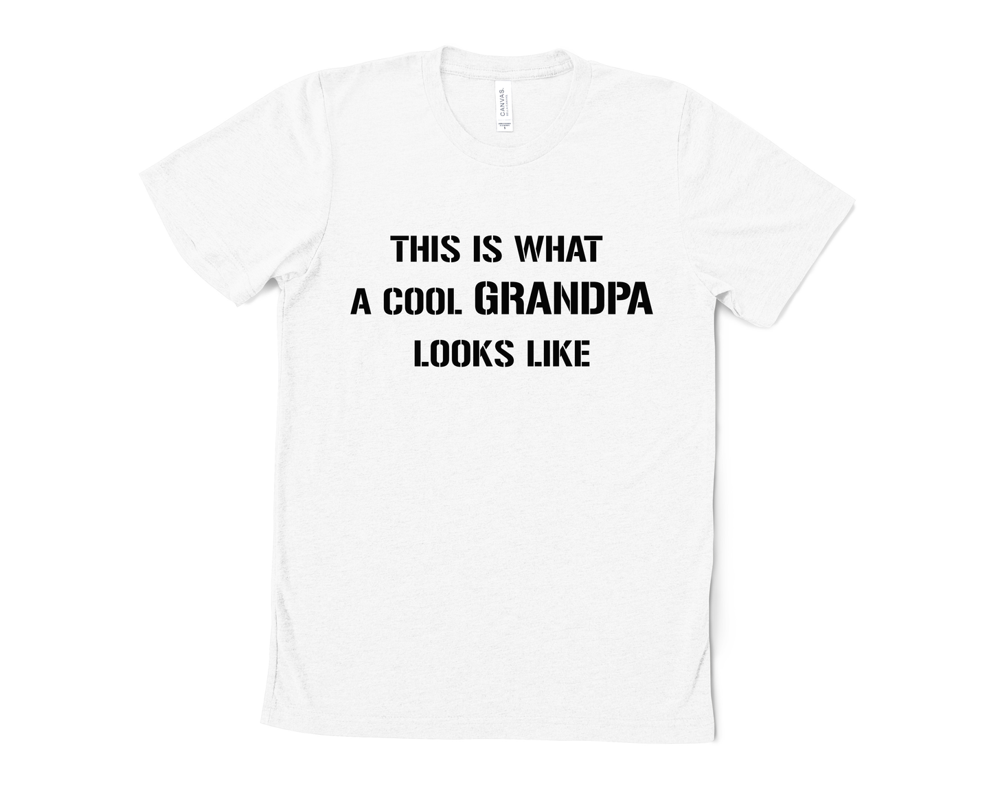 This is What a Cool Grandpa Looks Like T Shirt